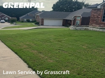 Lawn mowed in Sachse, 75048
