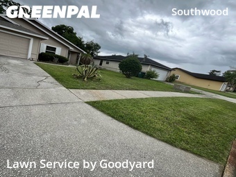 Grass Cut nearby Jacksonville, FL, 