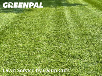 Lawn Care nearby Murfreesboro, TN, 