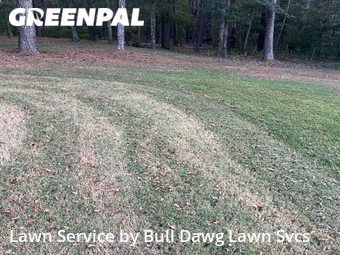 Lawn Care Service nearby Bogart, GA, 
