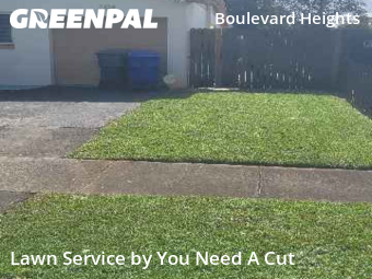 Grass Cut nearby Hollywood, FL, 