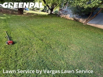 Grass Cutting nearby Wyndmoor, PA, 