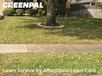 Lawn Cut nearby Cibolo, TX, 