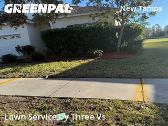 Lawn Care Servicein Tampa,33647,Lawn Maintenance by Three Vs , work completed in Dec , 2025