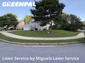 Lawn Mow nearby Atlanta, GA, 