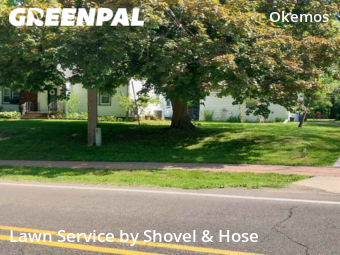 Grass Cutting nearby Meridian Charter Township, MI, 