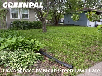 Lawn Maintenancein Blue Springs,64014,Grass Cut by Mean Green Lawn Care, work completed in Jun , 2026