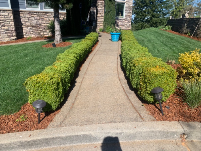 grass-cutting-businesses-in-Hillsboro-OR