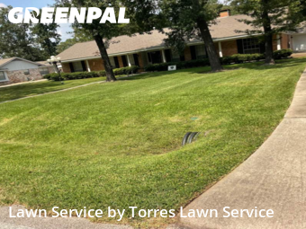 Lawn Mowing Service nearby Spring, TX, 