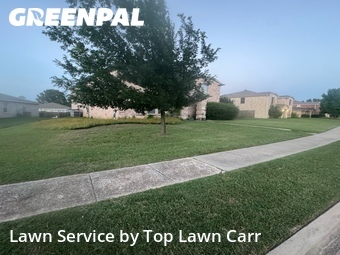 Lawn Mow nearby Cedar Hill, TX, 