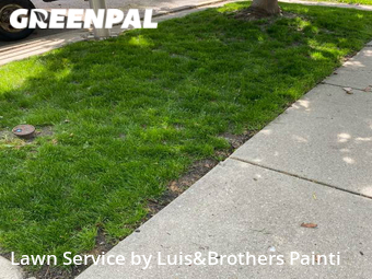Lawn Care nearby Chicago, IL, 
