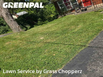Lawn Care Service nearby Ferguson, MO, 
