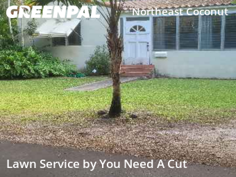 Lawn Cutting nearby Miami, FL, 