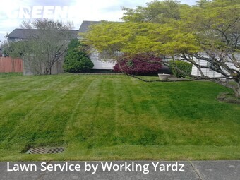 Lawn Mowing nearby Pacific, WA, 