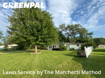 Lawn Mowing nearby Montgomery, IL, 