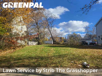 Lawn Maintenance nearby Shaker Heights, OH, 