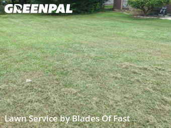 Lawn Cutting nearby Riverdale, GA, 