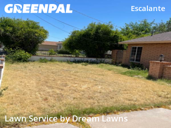 Yard Maintenance in Tempe, 85281, Lawn Management by Dream Lawns, work completed in Oct , 2025