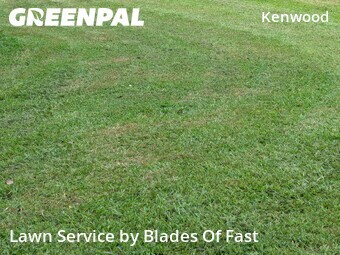 Lawn Maintenance nearby Smyrna, GA, 