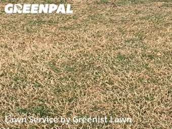 Grass Cut nearby Spring Hill, TN, 