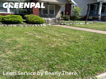 Lawn Maintenance nearby Cleveland Heights, OH, 