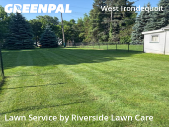 Lawn Care nearby Irondequoit, NY, 