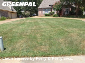Lawn Cutting nearby Madison, MS, 