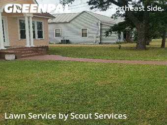 Yard Cutting nearby Converse, TX, 