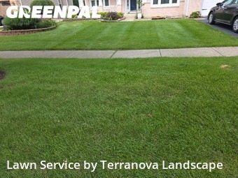 Lawn Mow nearby West Chicago, IL, 