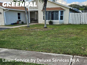 Lawn Mowing Servicein Sunrise,33351,Lawn Mowing by Deluxe Services By A, work completed in Dec , 2025