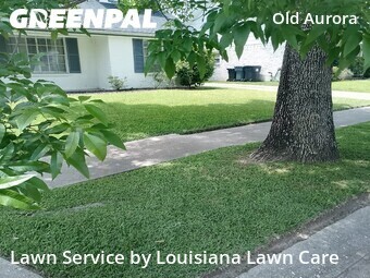 Lawn Mow nearby New Orleans, LA, 