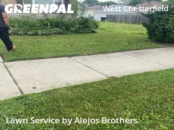 Lawn Cuttingin Chicago,60619,Lawn Mowing Service by Alejos Brothers, work completed in Jun , 2026