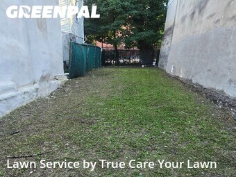 Lawn Maintenance nearby Wilmington, DE, 