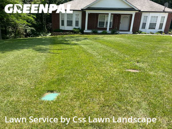 Grass Cutting nearby Springfield, KY, 