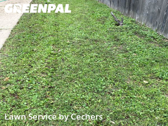 Grass Cutting nearby Pflugerville, TX, 