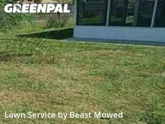 Grass Cut nearby Tampa, FL, 