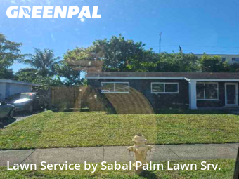 Grass Cutin Sunrise,33313,Lawn Maintenance by Sabal Palm Lawn Srv., work completed in Feb , 2026