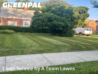 Lawn Mow nearby Euclid, OH, 