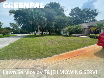 Yard Cutting nearby Summerfield, FL, 