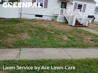 Grass Cut nearby Milford, CT, 