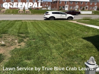 Lawn Service nearby Dundalk, MD, 