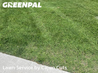 Lawn Cutting nearby Murfreesboro, TN, 