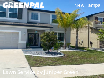 Lawn Mow nearby Tampa, FL, 