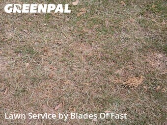 Lawn Cut nearby East Point, GA, 