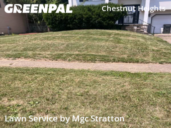 Lawn Upkeep in Elyria, 44035, Yard Maintenance by Mgc Stratton, work completed in Dec , 2025