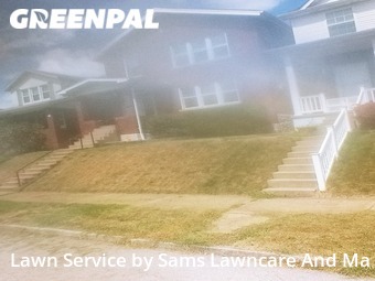 Yard Cutting nearby St. Louis, IL, 