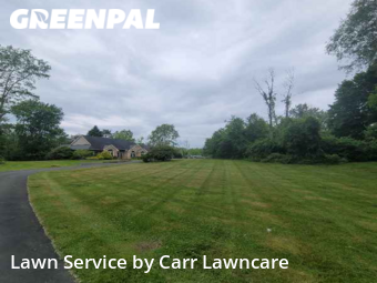 Lawn Mow nearby Fairport, NY, 