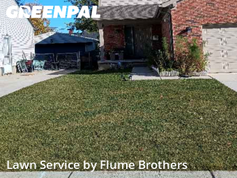 Lawn Care Service nearby Roseville, MI, 