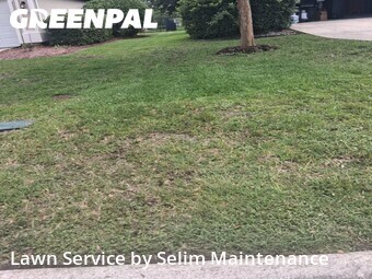 Lawn Care nearby St. Augustine, FL, 