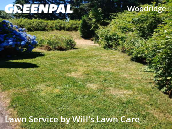 Grass Cut nearby Bellevue, WA, 